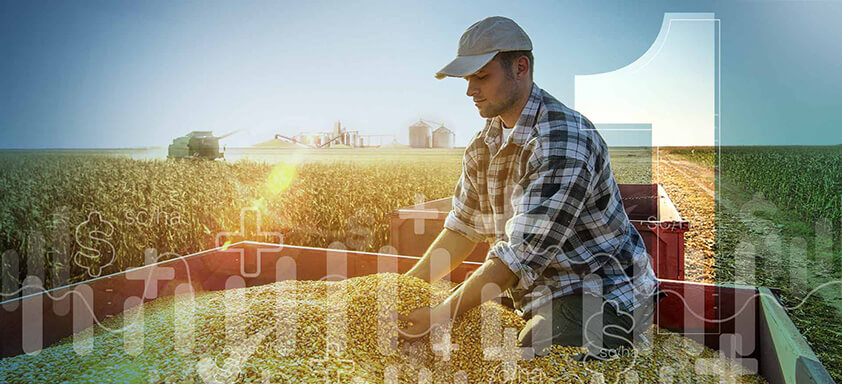 Relançamento da marca de Sementes NK completa 1 ano