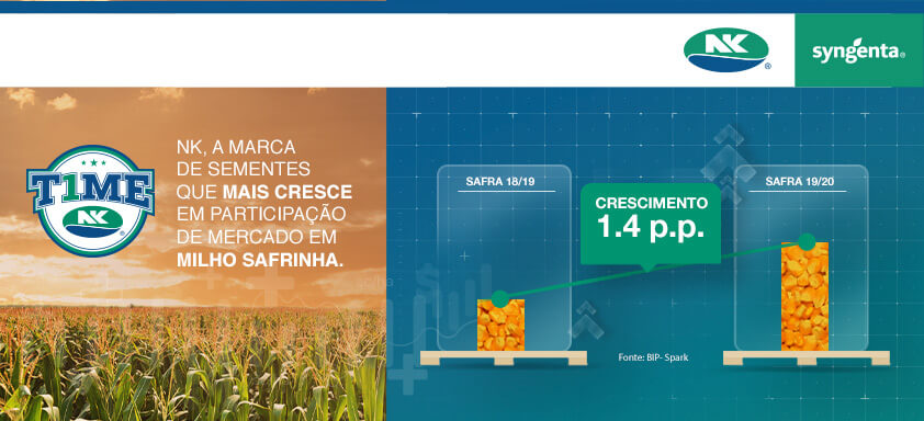 Sementes de milho NK: a marca que mais cresceu no Brasil no último ano