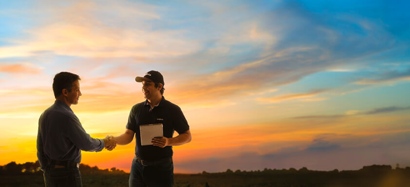 Syngenta: conectada com você o tempo todo