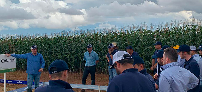 Syngenta promove Expedição Calaris pelas principais regiões produtoras do país