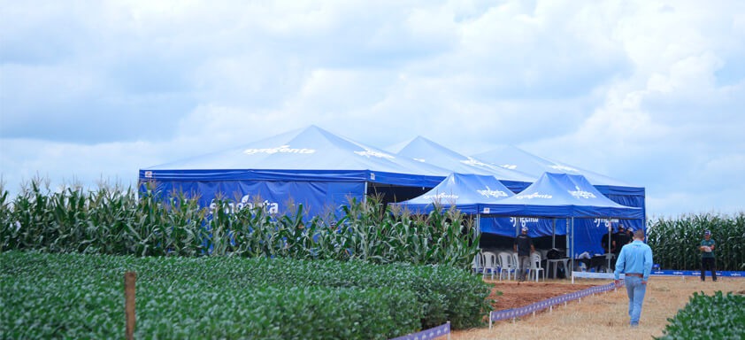 Syngenta realiza Estação Conhecimento nas regiões produtoras do Brasil