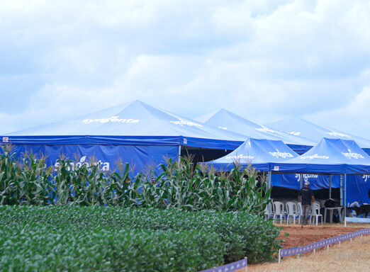 Syngenta realiza Estação Conhecimento nas regiões produtoras do Brasil