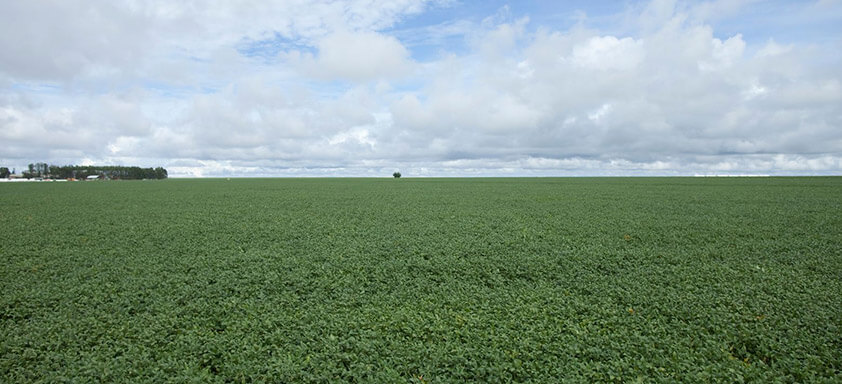 Syngenta traz laboratório interativo no stand da Showtec