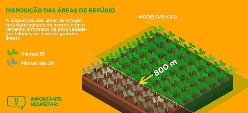Saiba como fazer a disposição da Área de Refúgio da sua lavoura