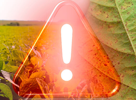 Ocorrências da ferrugem asiática registradas em lavouras de soja no Brasil