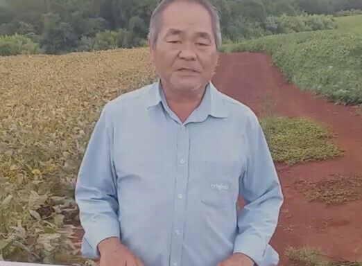 Dessecação bem-feita na soja: confira a solução ideal!