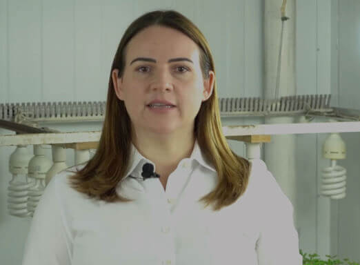 Alade® e Mitrion™ | De Norte a Sul, um mundo de conhecimento – Ep. 1: Carolina Deuner