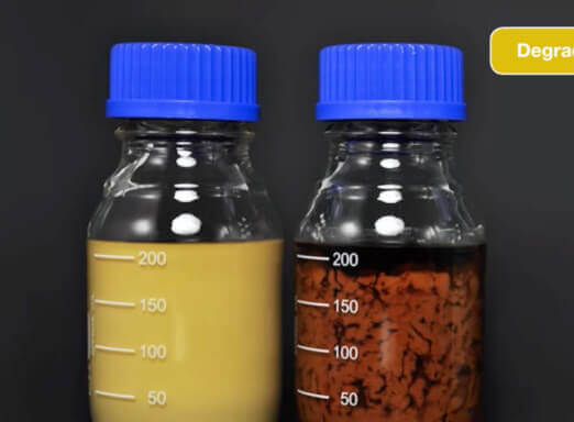 Estabilidade química