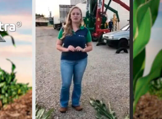 Compare os resultados de Priori Xtra frente ao padrão produtor!