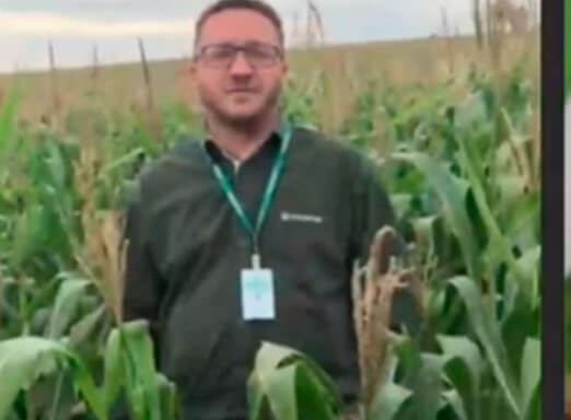 Controle as doenças do milho com superioridade!