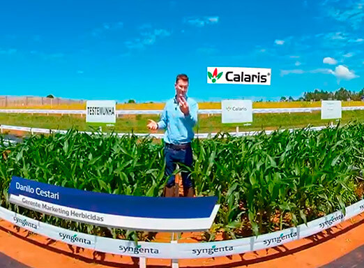 Descubra a ferramenta essencial para o manejo de braquiária!