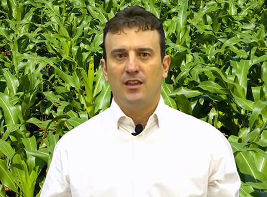 Dia de Campo Virtual – Palotina – PR