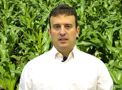 Dia de Campo Virtual – Palotina - PR