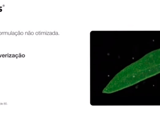 Evolua os resultados no controle de daninhas com Syngenta!