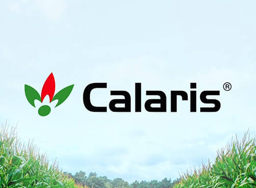 Filme Calaris Technology