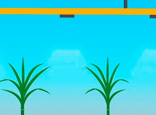 Maior controle de daninhas com doses menores de produto!