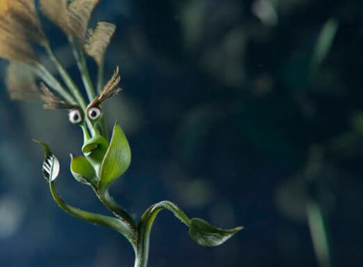 Não dê espaço para as plantas daninhas de difícil controle!