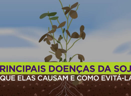 Principais Doenças da Soja