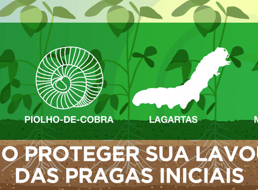 Proteja a sua Lavoura das Pragas iniciais