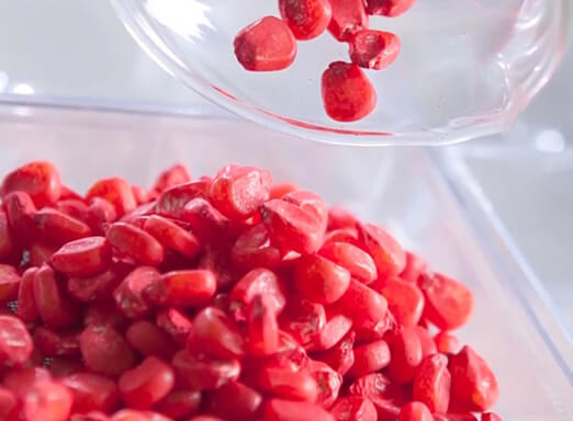 Tratamento de sementes industrial para milho: vale a pena investir?