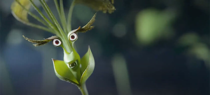 Não dê espaço para as plantas daninha de difícil controle!