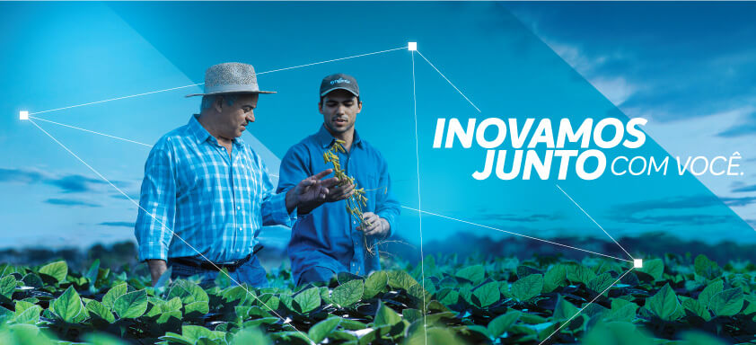 Portal Syngenta: a plataforma que já era referência, ainda melhor