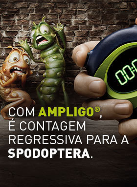 Banner do  inseticida Ampligo