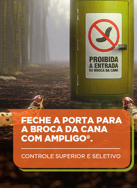 Banner do inseticida Ampligo