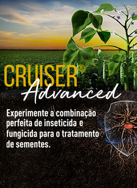 Banner do produto para tratamento de sementes Cruiser Advanced