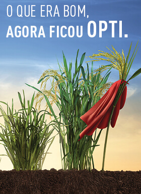 Banner do inseticida para tratamento de sementes Cruiser Opti