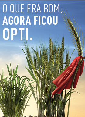 Banner do inseticida para tratamento de sementes Cruiser Opti