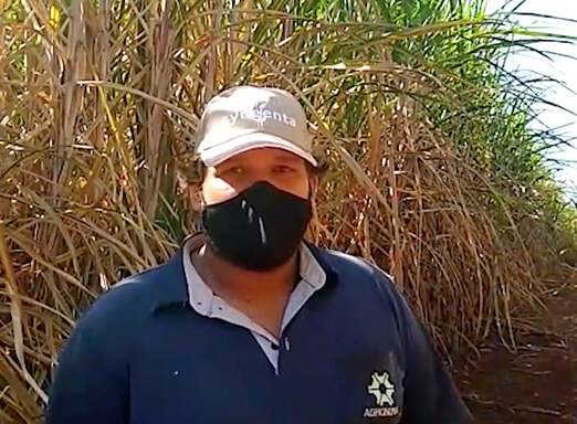 Engeo Pleno® S no controle de pragas, com Lucas Donizetti Cardoso | EP 4