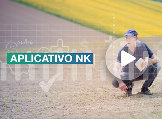 Conheça o Aplicativo NK!