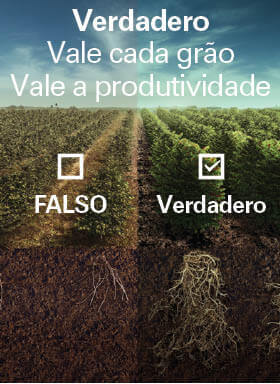 Banner do inseticida e fungicida Verdadero