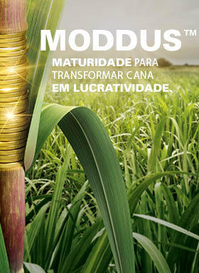 Banner do regulador de crescimento Moddus