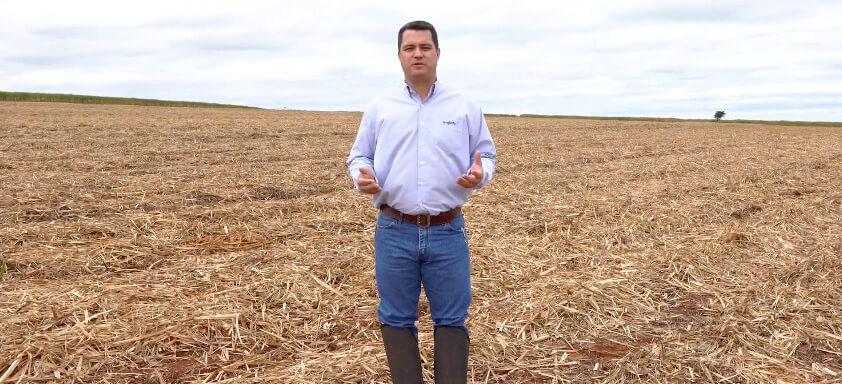 Imagem de Adriano Mastro, responsável pelo Desenvolvimento Técnico de Mercado da Syngenta