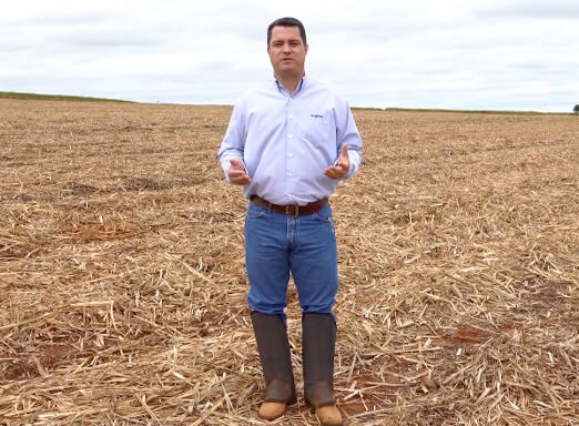 Imagem de Adriano Mastro, responsável pelo Desenvolvimento Técnico de Mercado da Syngenta