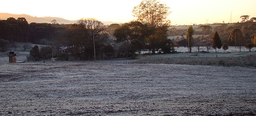 recuperação da lavoura café