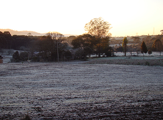 recuperação da lavoura café