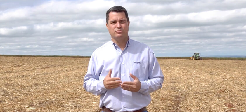 Imagem de Adriano Mastro, responsável pelo Desenvolvimento Técnico de Mercado da Syngenta