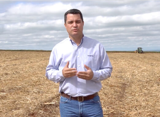 Imagem de Adriano Mastro, responsável pelo Desenvolvimento Técnico de Mercado da Syngenta