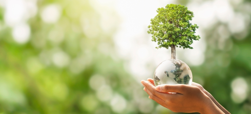 dia-nacional-do-campo-limpo