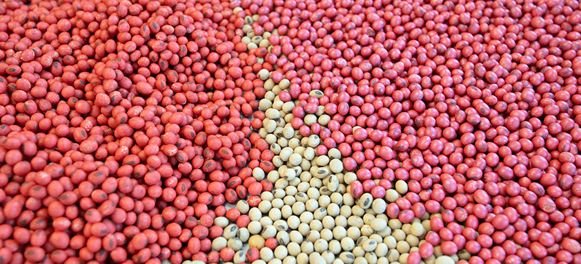 Tratamento de Sementes Industrial Soja