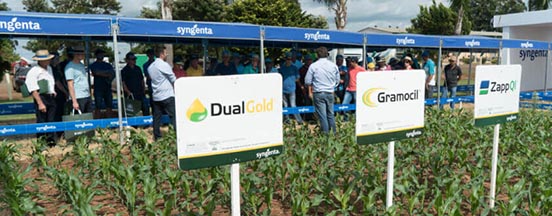 Feira Bela Safra 2019