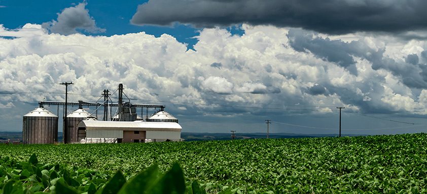 Adversidade climática nos EUA afeta produção de soja