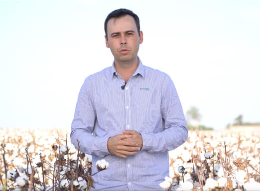 Pesquisador Alfredo Ricieri