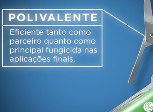 Cypress é um fungicida multipotente para o controle de doenças da soja