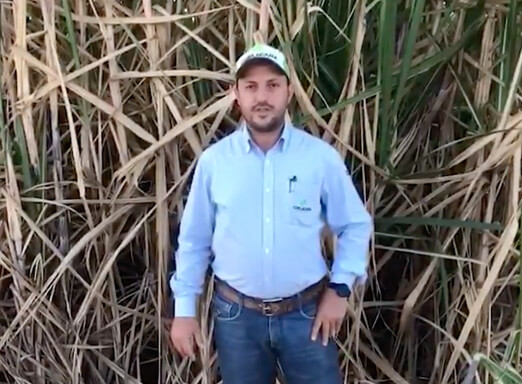 Produtor Itamar de Souza em frente à plantação de cana