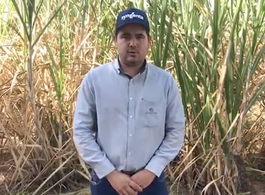 Leonardo Roberto Furlaneto, da Coopercitrus, em frente à plantação de cana.