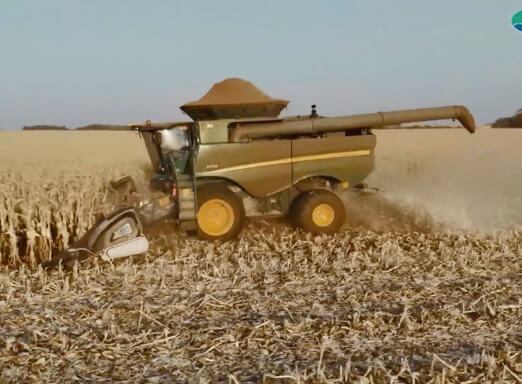 Máquina colhendo milho